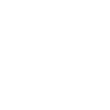 Custom Icon